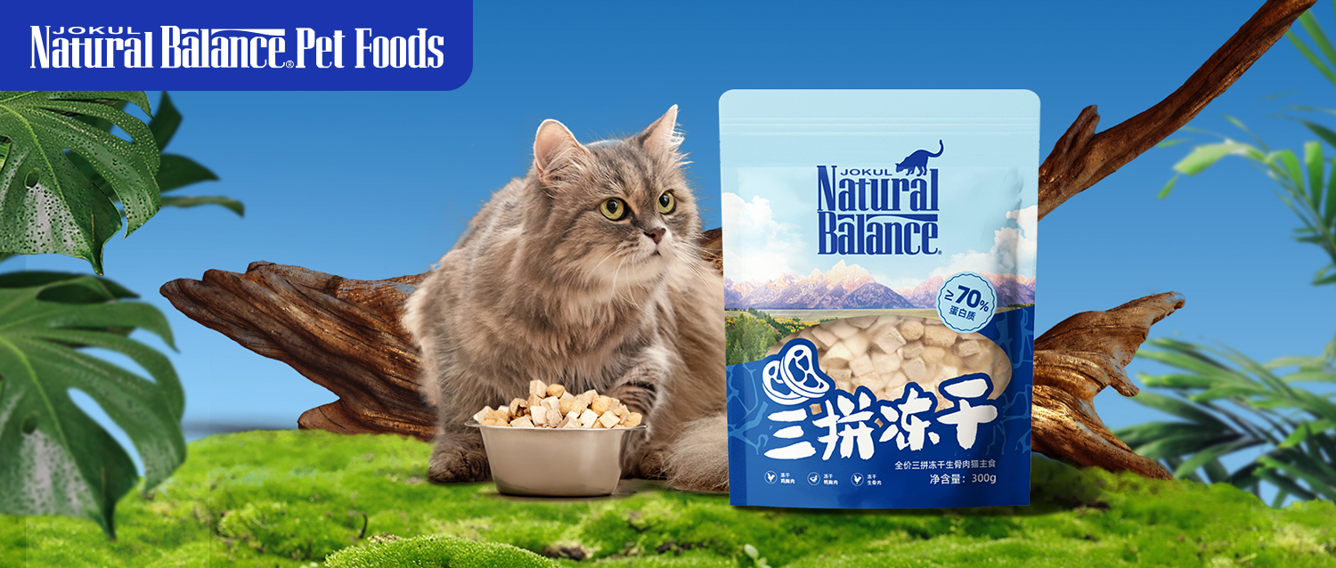 雪山宠物小课堂丨猫咪吃冻干生骨肉的好处